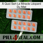 À Quoi Sert Le Miracle Léopard Du Miel 27